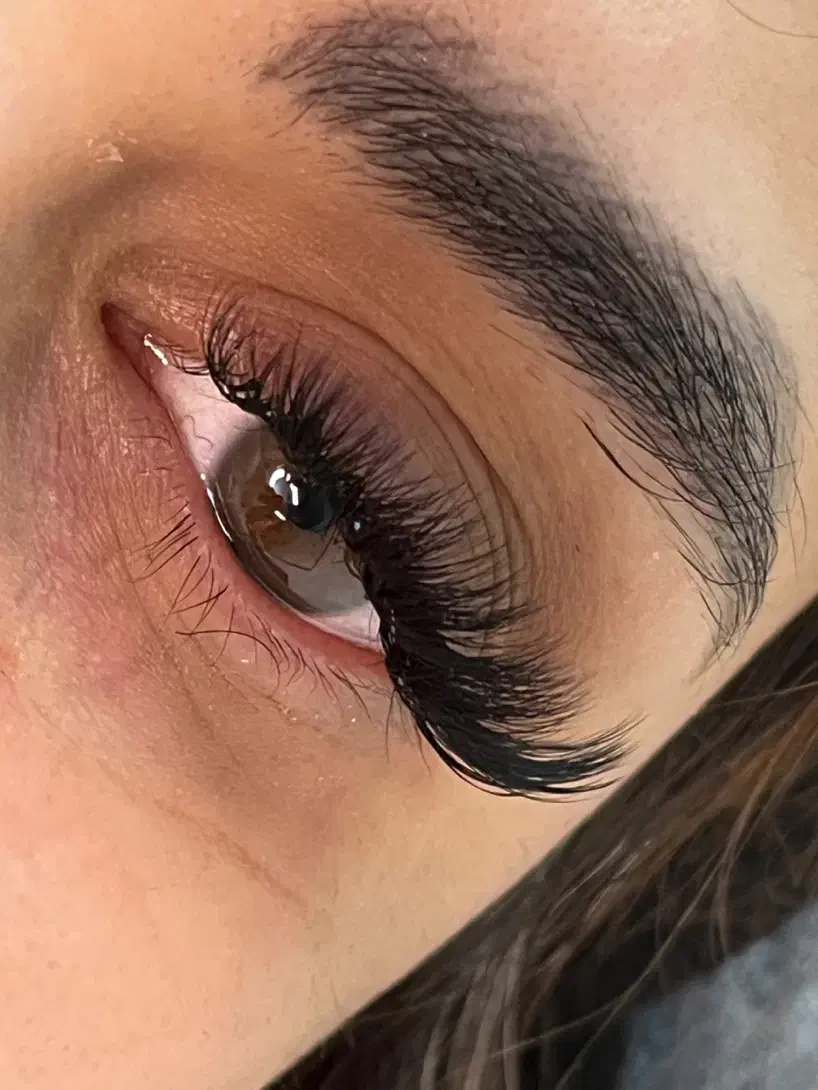 آموزش اکستنشن مژه و لیفت ابرو|خدمات آموزشی|مشهد, راهنمایی|دیوار