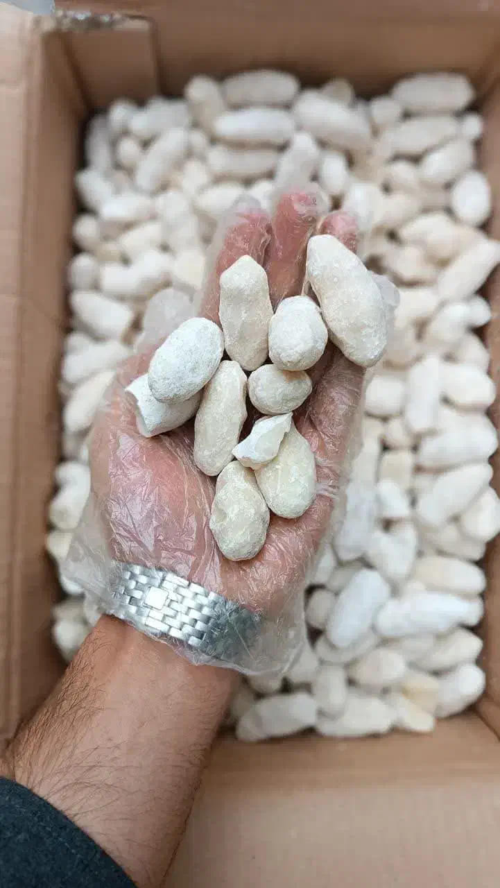 کشک ماست دوغ شیراز کره شیر|خوردنی و آشامیدنی|ایوان, |دیوار