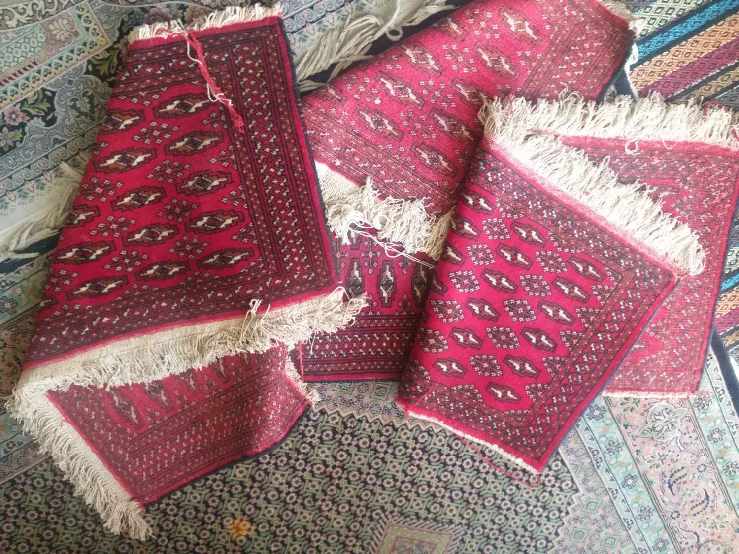 قالیچه دستباف|فرش|کرمانشاه, |دیوار