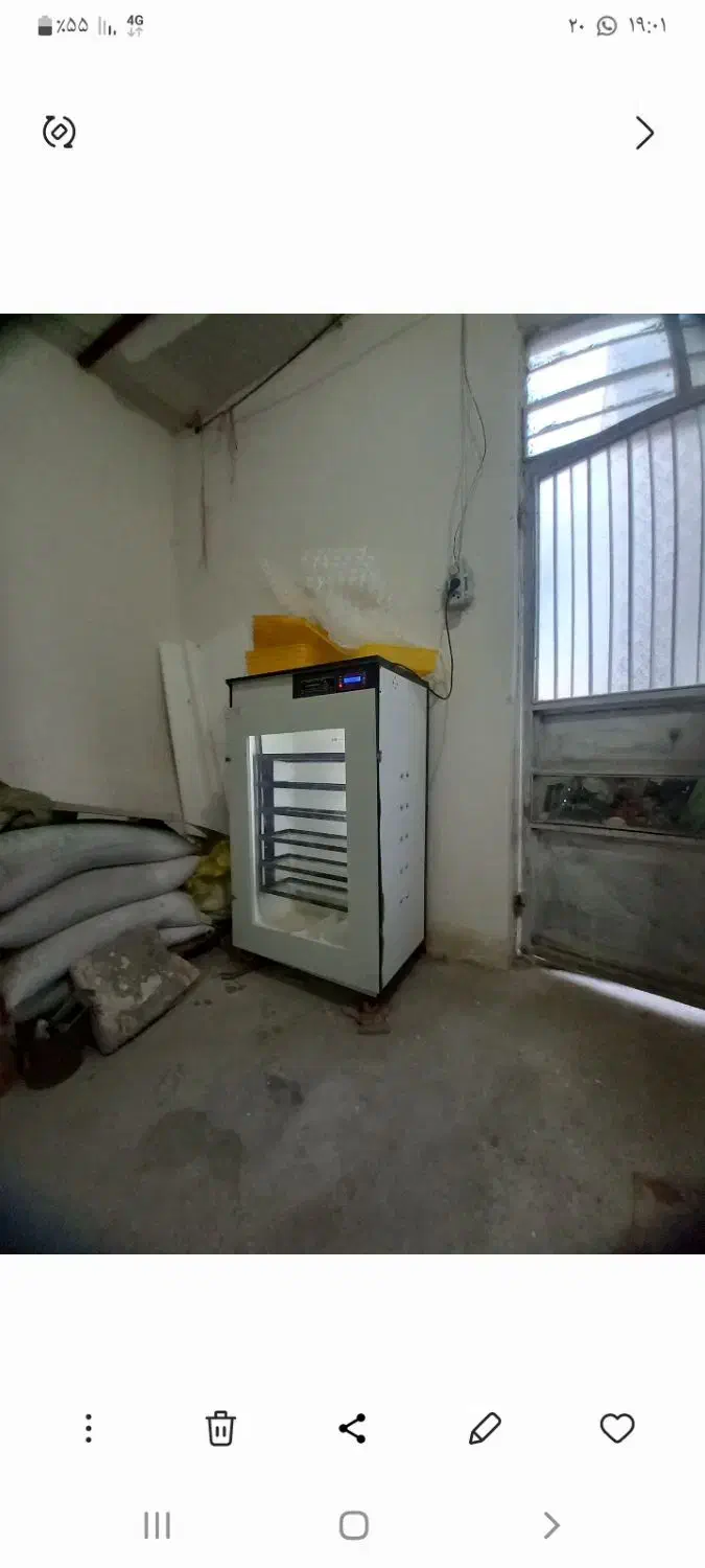 دستگاه جوجه کشی|لوازم جانبی حیوانات|مشگین شهر, |دیوار