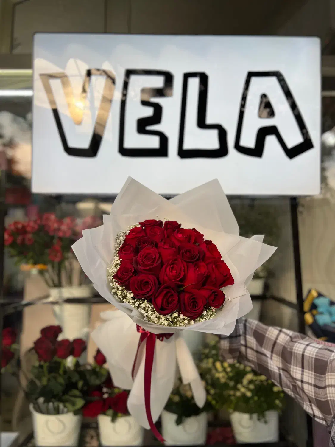 گلفروشی vela|گل و گیاه طبیعی|تبریز, |دیوار