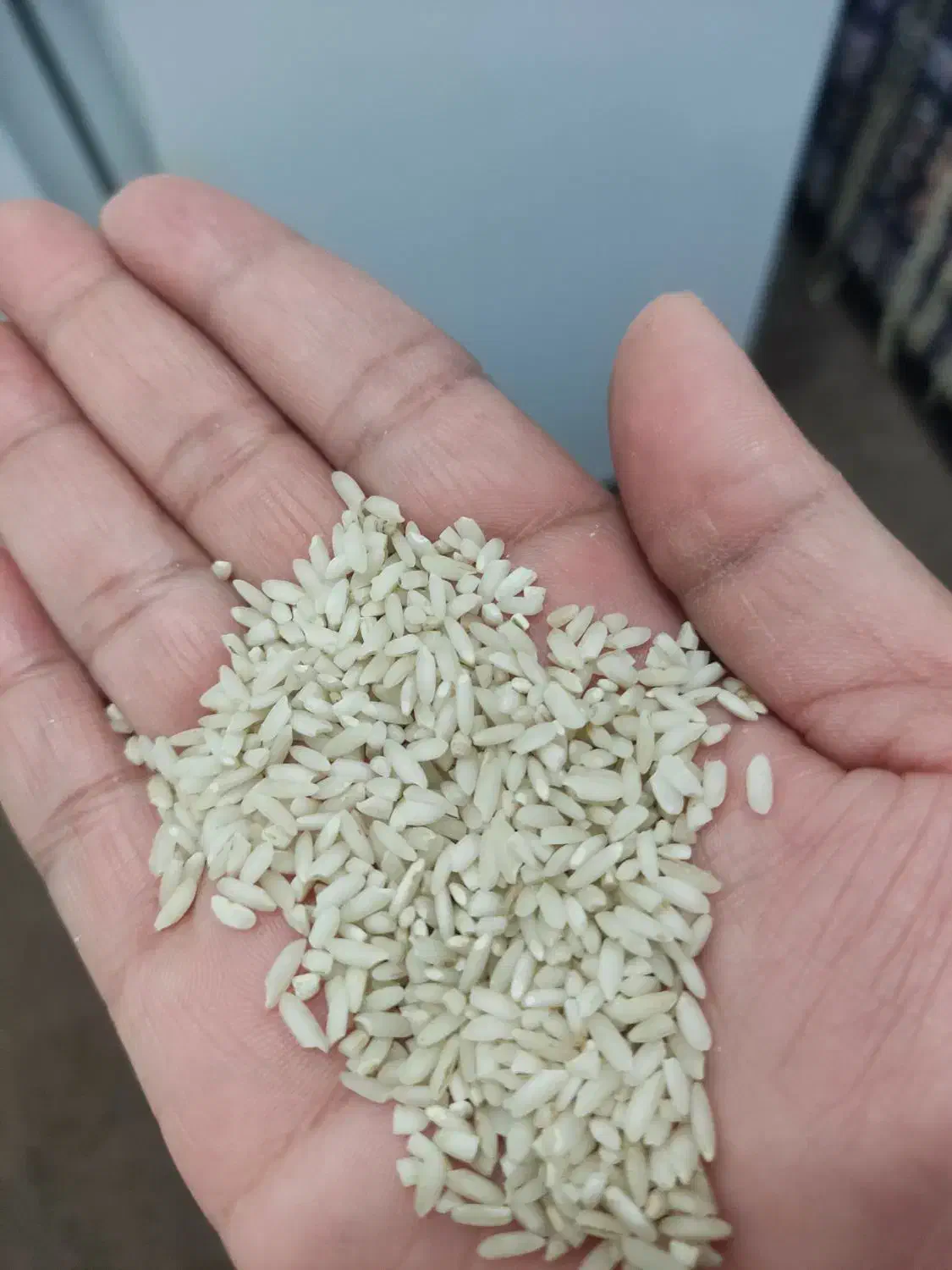 برنج عنبر بو|خوردنی و آشامیدنی|سوسنگرد, |دیوار