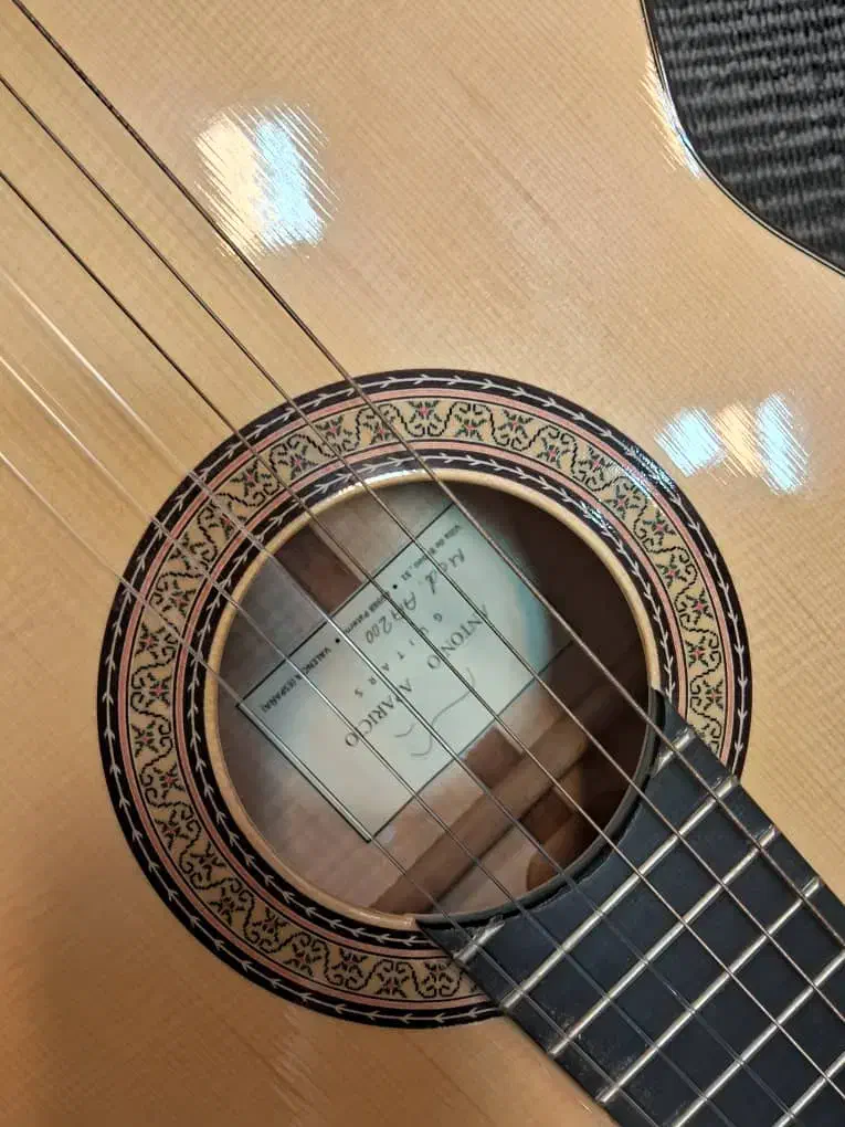 گیتار آنتونیو آپاراچیو|گیتار، بیس، امپلیفایر|تهران, جردن|دیوار