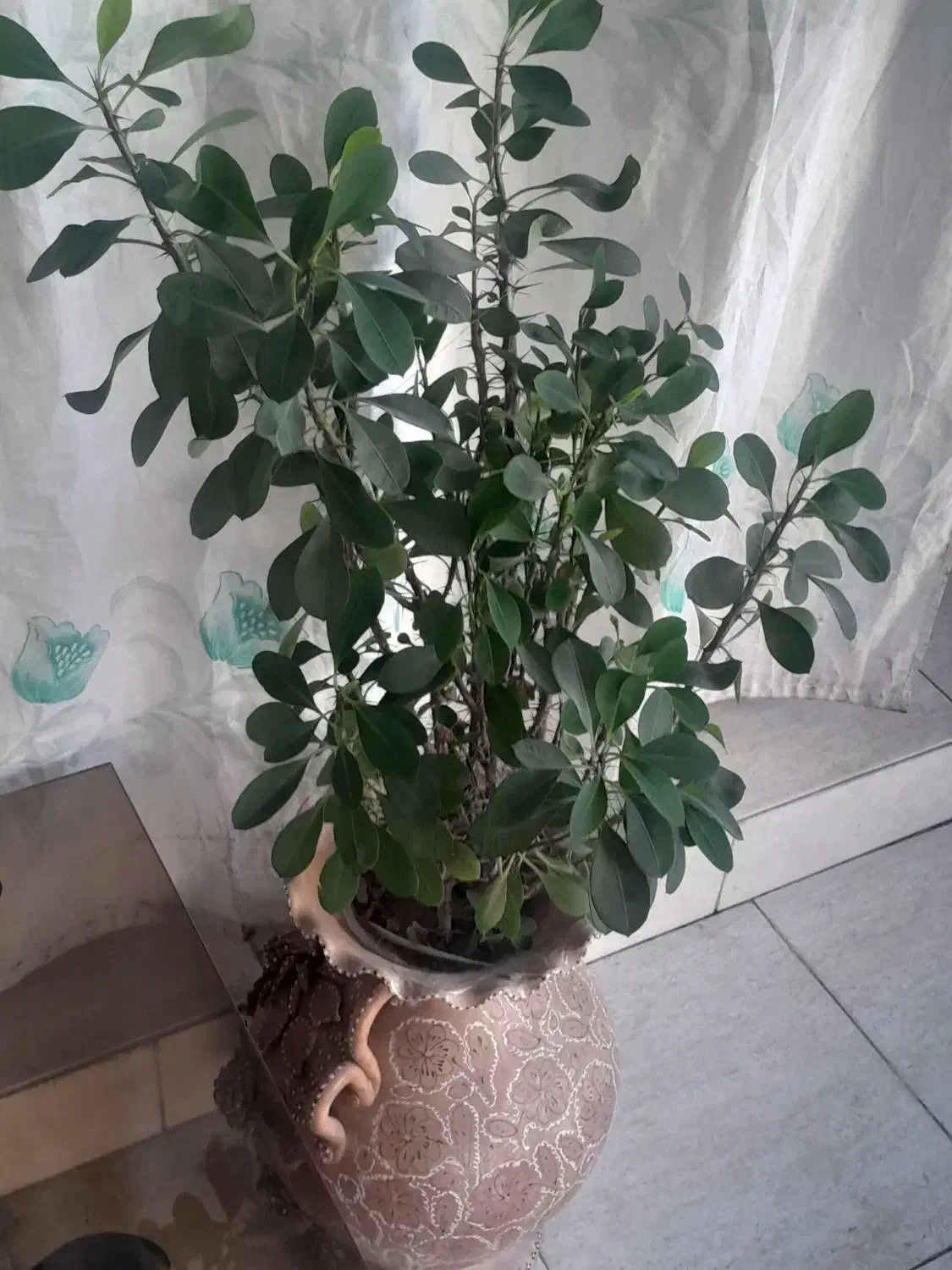 گلدان بزرگ سفالی عتیقه وجاسیگاری قدیمی|کلکسیون اشیاء عتیقه|زنجان, |دیوار