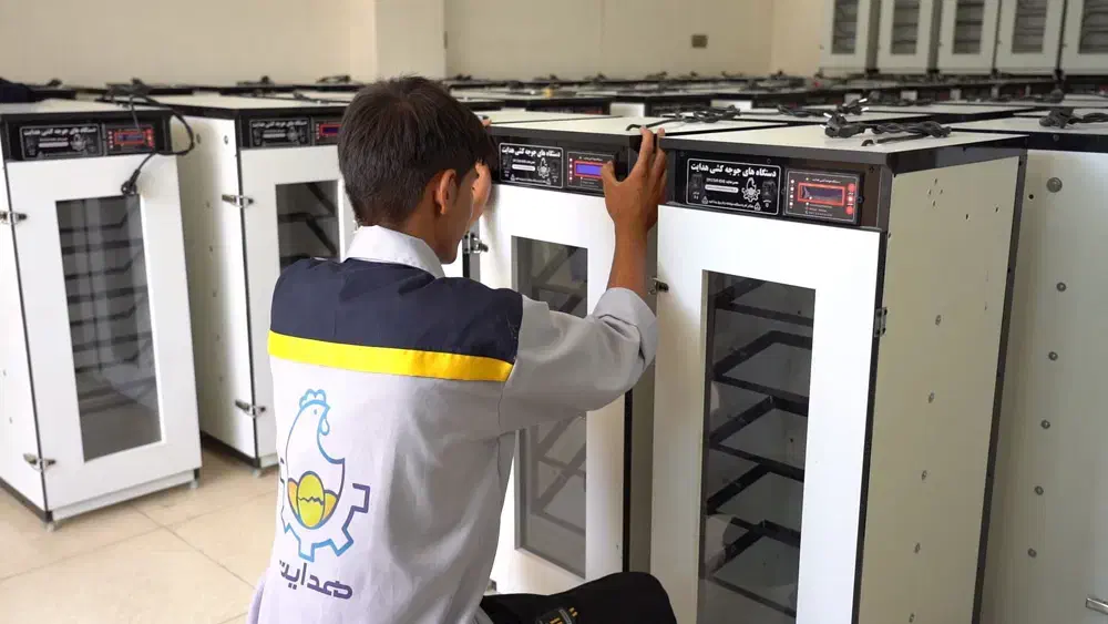 دستگاه ها جوجه کشی تمام اتوماتیک هدایت|لوازم جانبی حیوانات|پلدشت, |دیوار