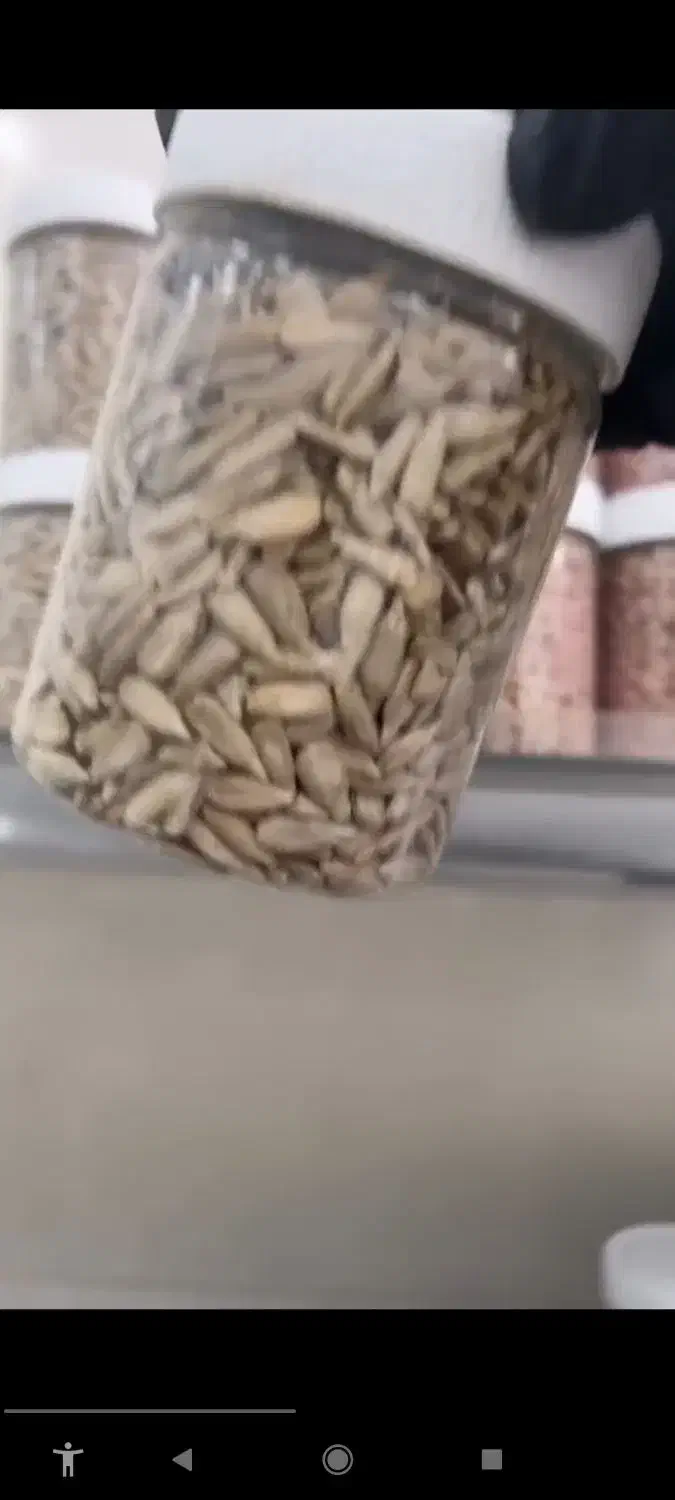 محصولات یلدایی و خشکبار ،اجیل،سبزیجات خشک،زعفران|خوردنی و آشامیدنی|قم, انصار‌الحسین|دیوار