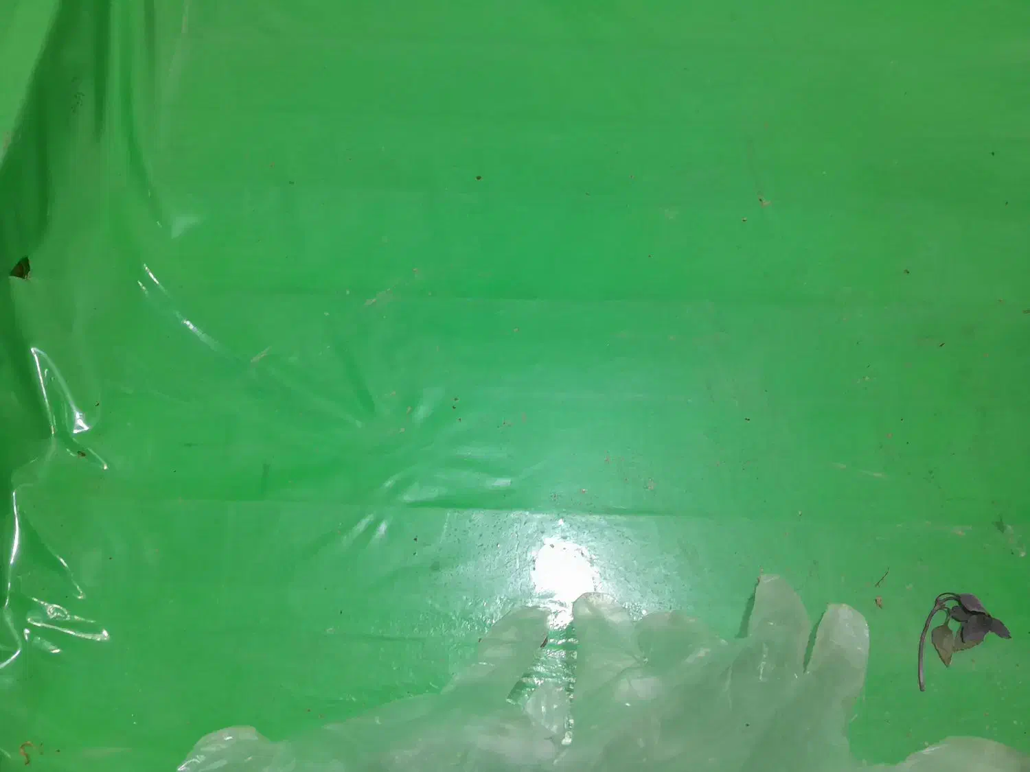 ۲عددطبق بایه میز|تخت و صندلی بچه|رشت, پیرکلاچای|دیوار