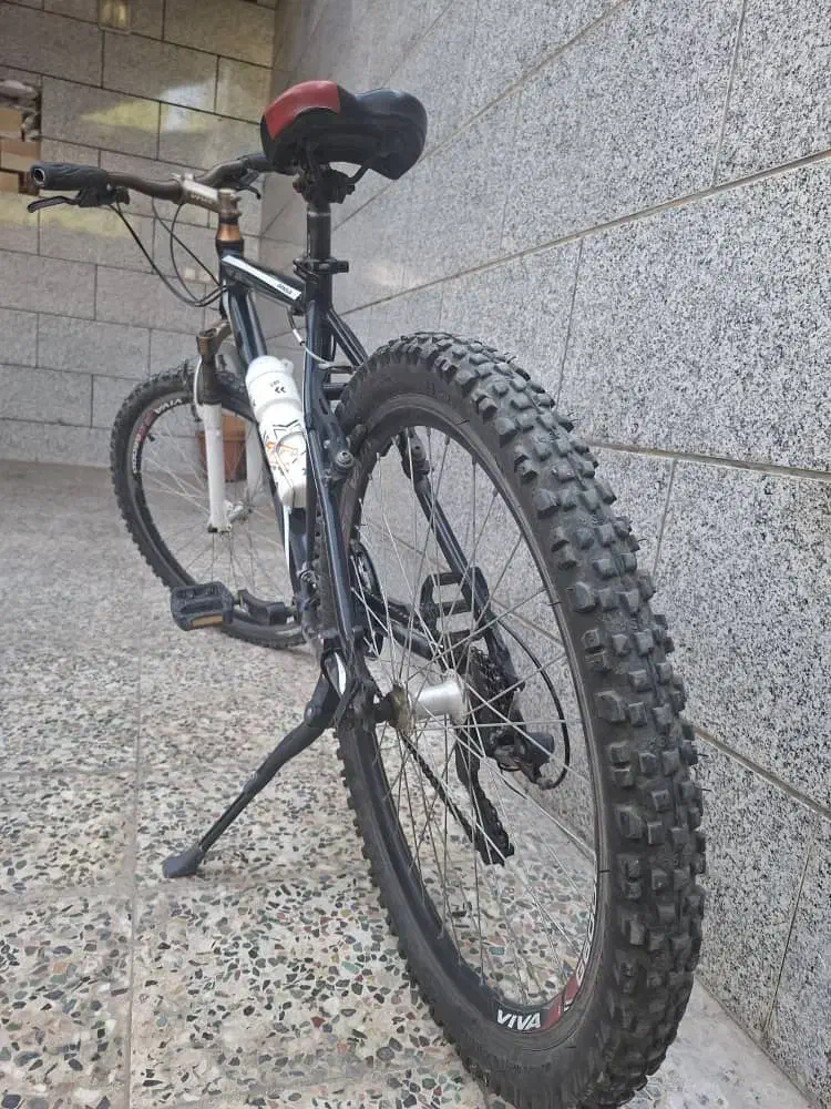 دوچرخه|دوچرخه، اسکیت، اسکوتر|دوگنبدان, |دیوار