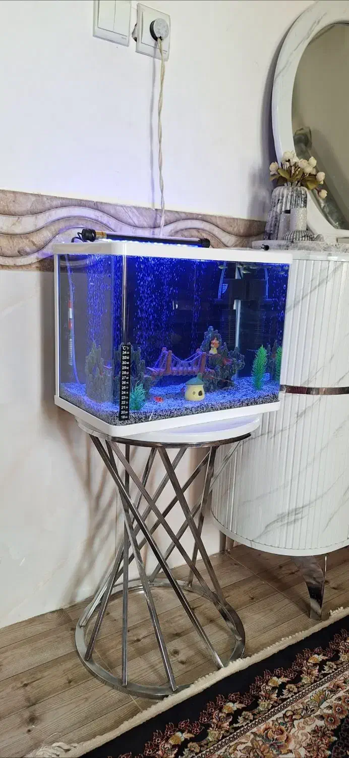 اکواریوم شیشه خم|ماهی|قرچک, مهدیه|دیوار