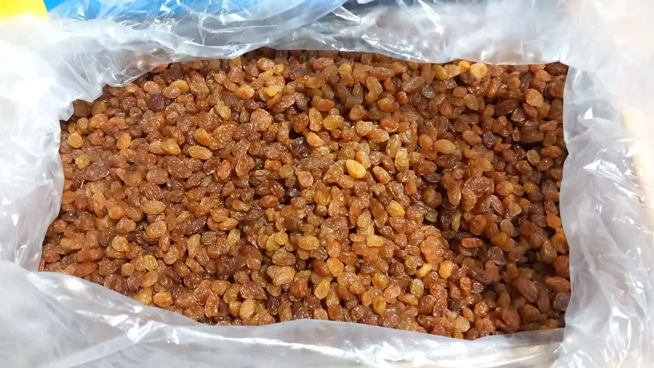 کشمش پلوی و طلایی|خوردنی و آشامیدنی|کرمانشاه, |دیوار