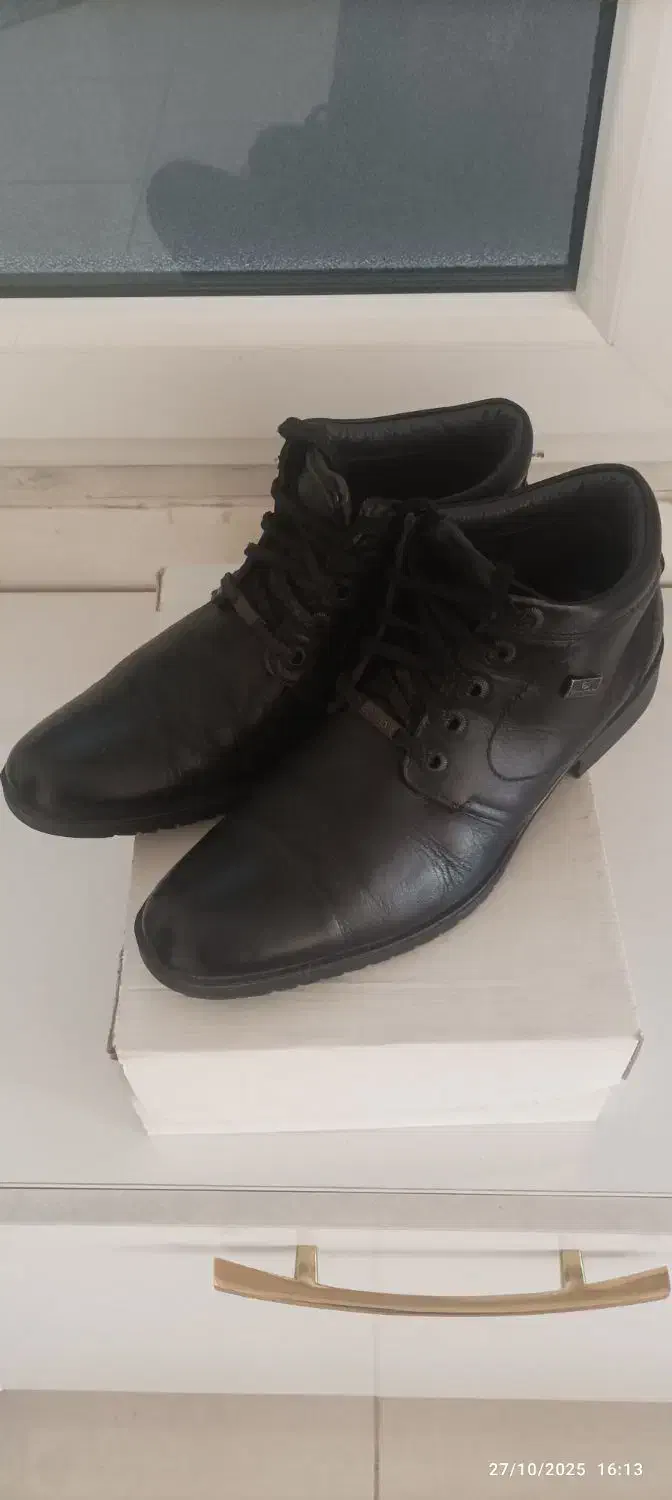 کفش مردنه|کیف، کفش، کمربند|تبریز, |دیوار