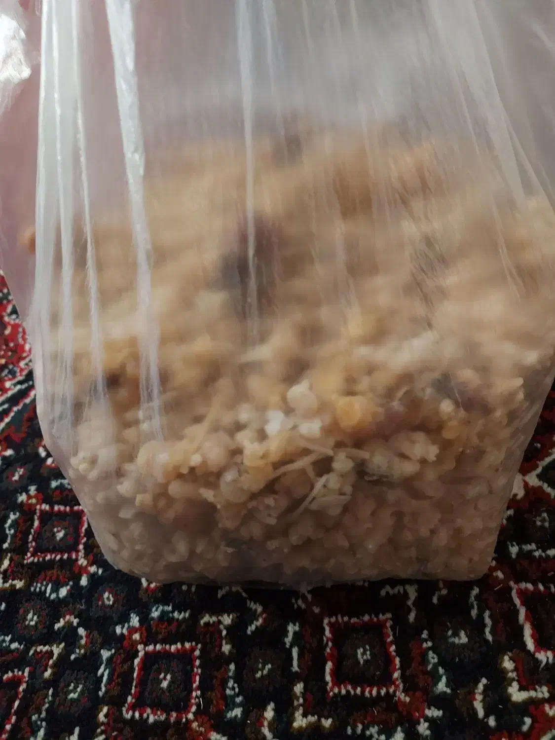 کتیرا|آرایشی، بهداشتی، درمانی|اسلام‌‌آباد غرب, |دیوار