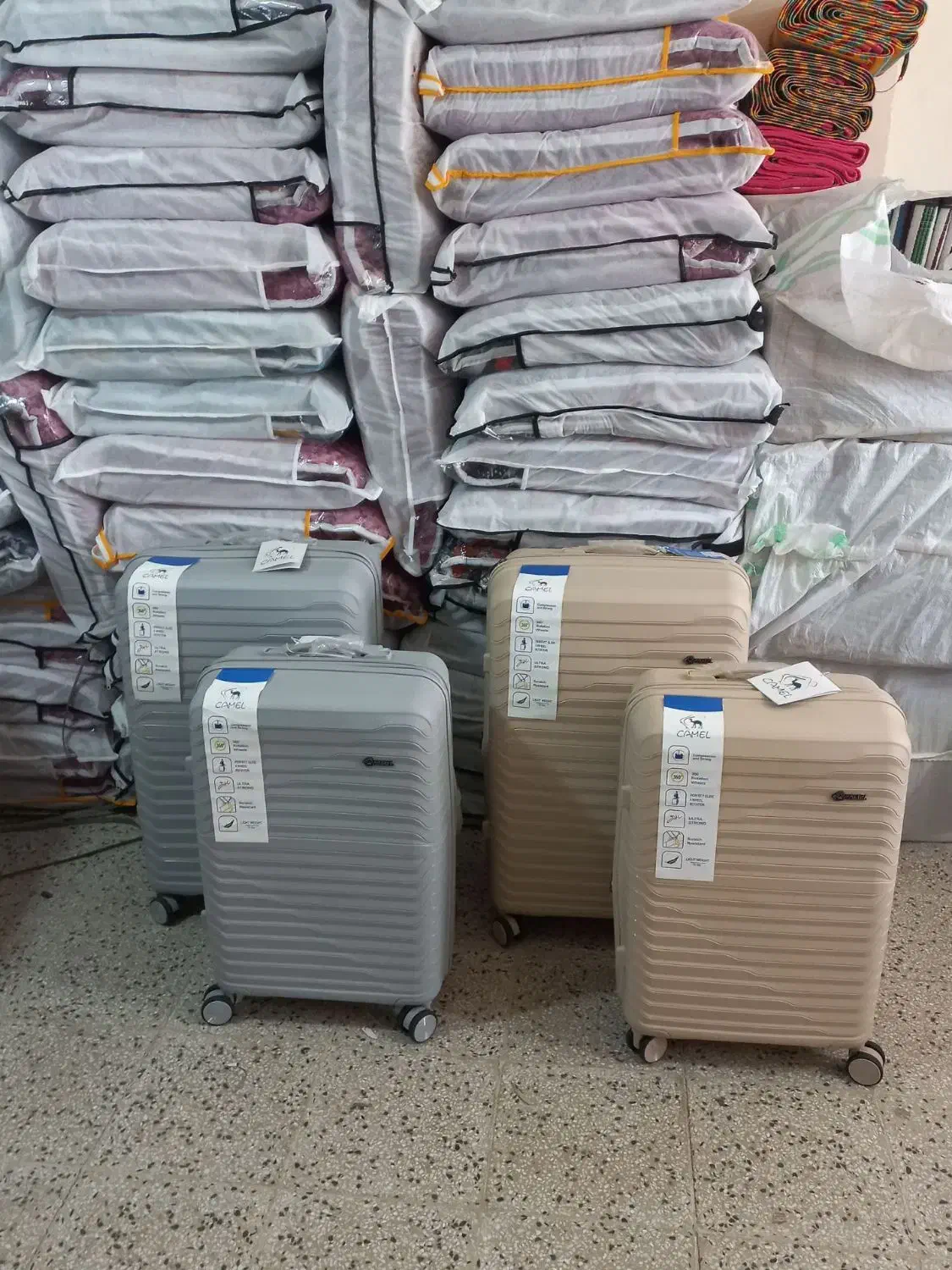 چمدان|کیف، کفش، کمربند|ایلام, |دیوار