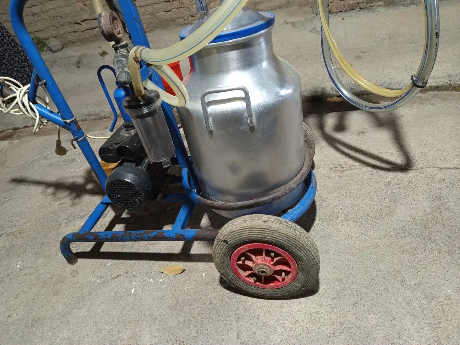 شیر دوش یا گاو دوش|ماشینآلات صنعتی|الشتر, |دیوار