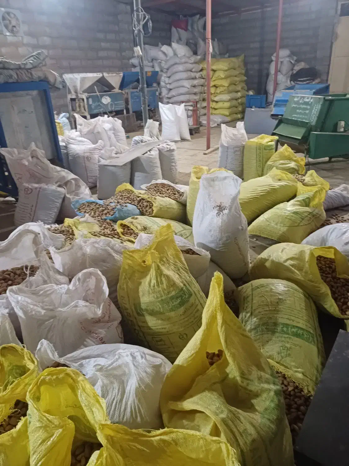 خریدار ارقام بادام بصورت نقدی بالاترین قیمت|خدمات باغبانی و درختکاری|شهرکرد, |دیوار