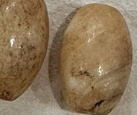 سنگ سلیمانی سلطانی صب ی|جواهرات|شادگان, |دیوار