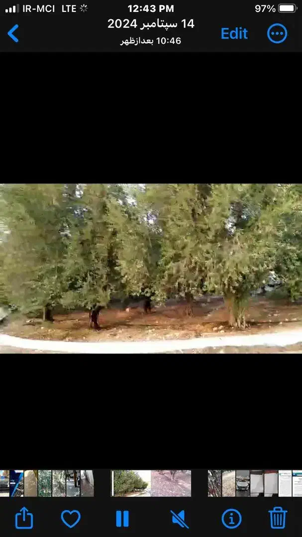 فروش ۲۵ هکتار زمین مناسب برای ساخت مسکن|فروش زمین و ملک کلنگی|شیراز, برمشور علیا|دیوار