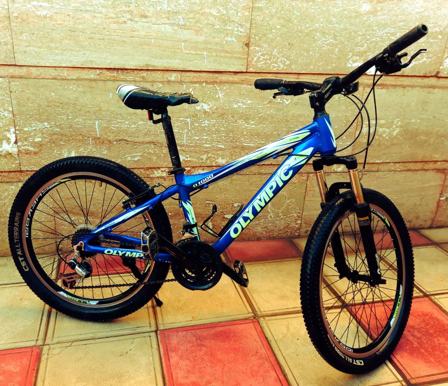 دوچرخه ۲۴|دوچرخه، اسکیت، اسکوتر|آشخانه, |دیوار