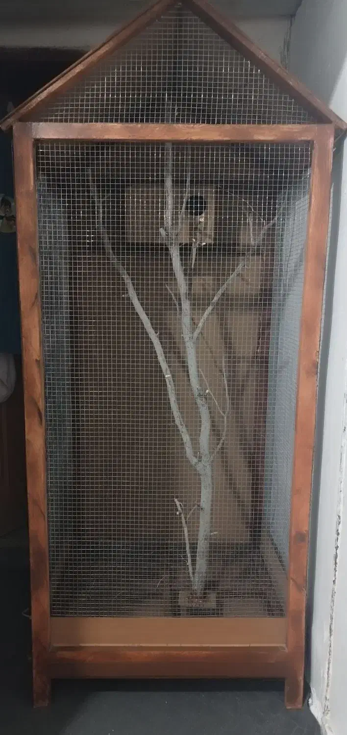 قفس  پرنده چوبی دست ساز|لوازم جانبی حیوانات|سراوان, |دیوار