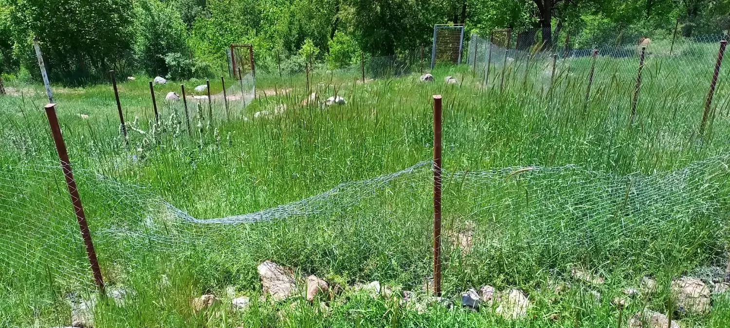 زمین چسب بافت روستای مرجان طالقان|فروش زمین و ملک کلنگی|طالقان, |دیوار