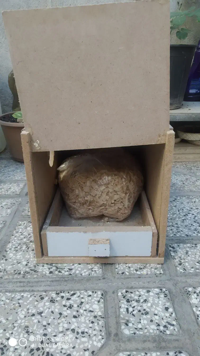 لونه عروس هلندی همراه خاک اره|لوازم جانبی حیوانات|گنبد کاووس, |دیوار