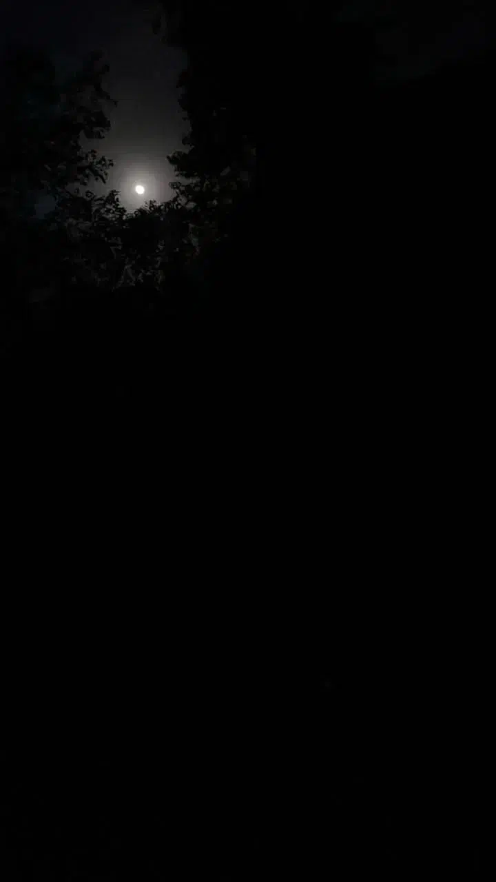 اجاره مغازه ۱۳ متری در ابوذر|اجارهٔ مغازه و غرفه|تهران, ابوذر|دیوار