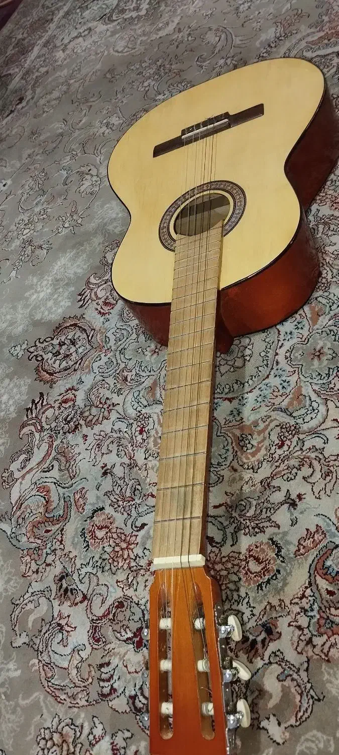 گیتار کلاسیکLion  فقط تا آخر امشب ۲۷۰۰|گیتار، بیس، امپلیفایر|پرند, فاز ۵|دیوار