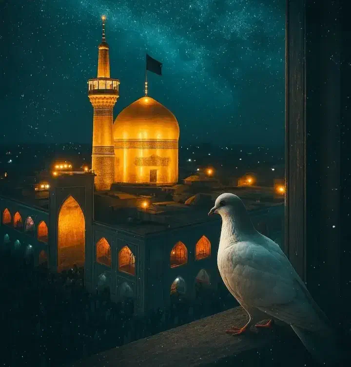 پیش ثبت نام تور ریلی مشهد ویژه آبان|تور و چارتر|انار, |دیوار