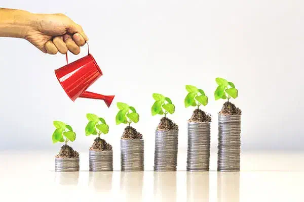 سرمایه گذار|خدمات مالی، حسابداری، بیمه|تربت جام, المهدی|دیوار