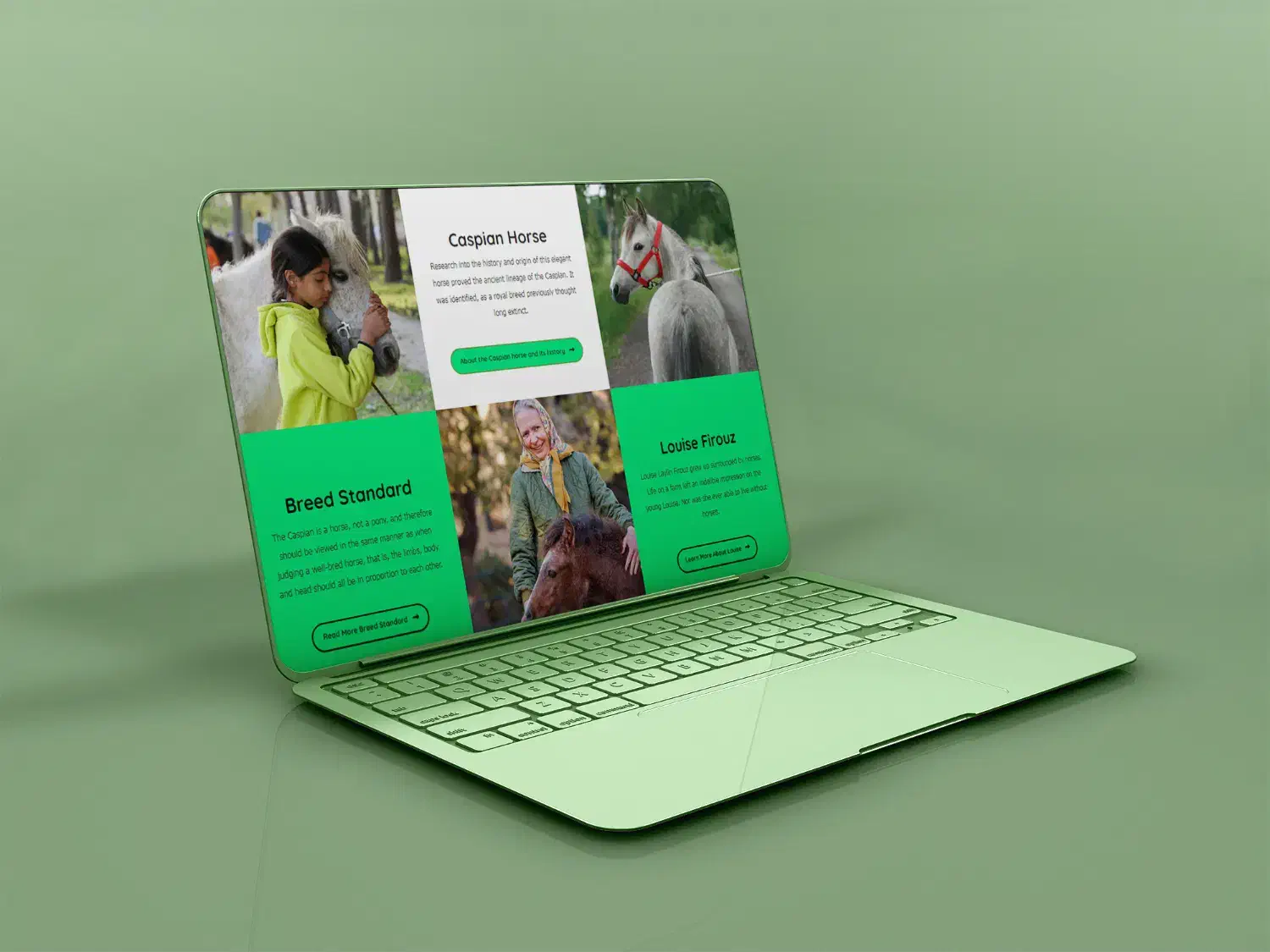 طراحی سایت حرفهای / سئو، تولید محتوا و پشتیبانی|خدمات رایانهای و موبایل|مشهد, ده دی|دیوار