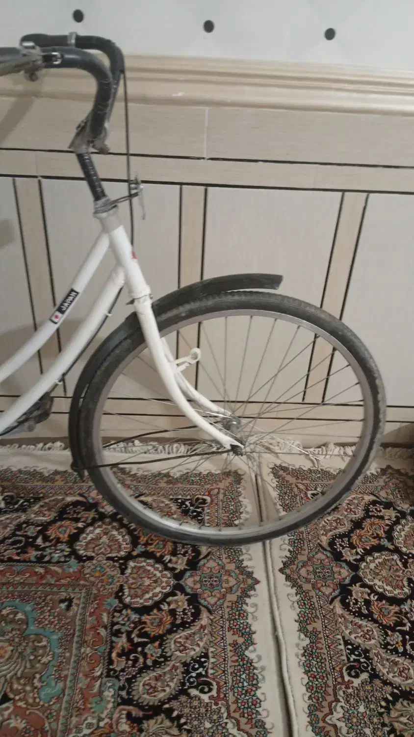 دوچرخه درجه یک|دوچرخه، اسکیت، اسکوتر|سوسنگرد, |دیوار