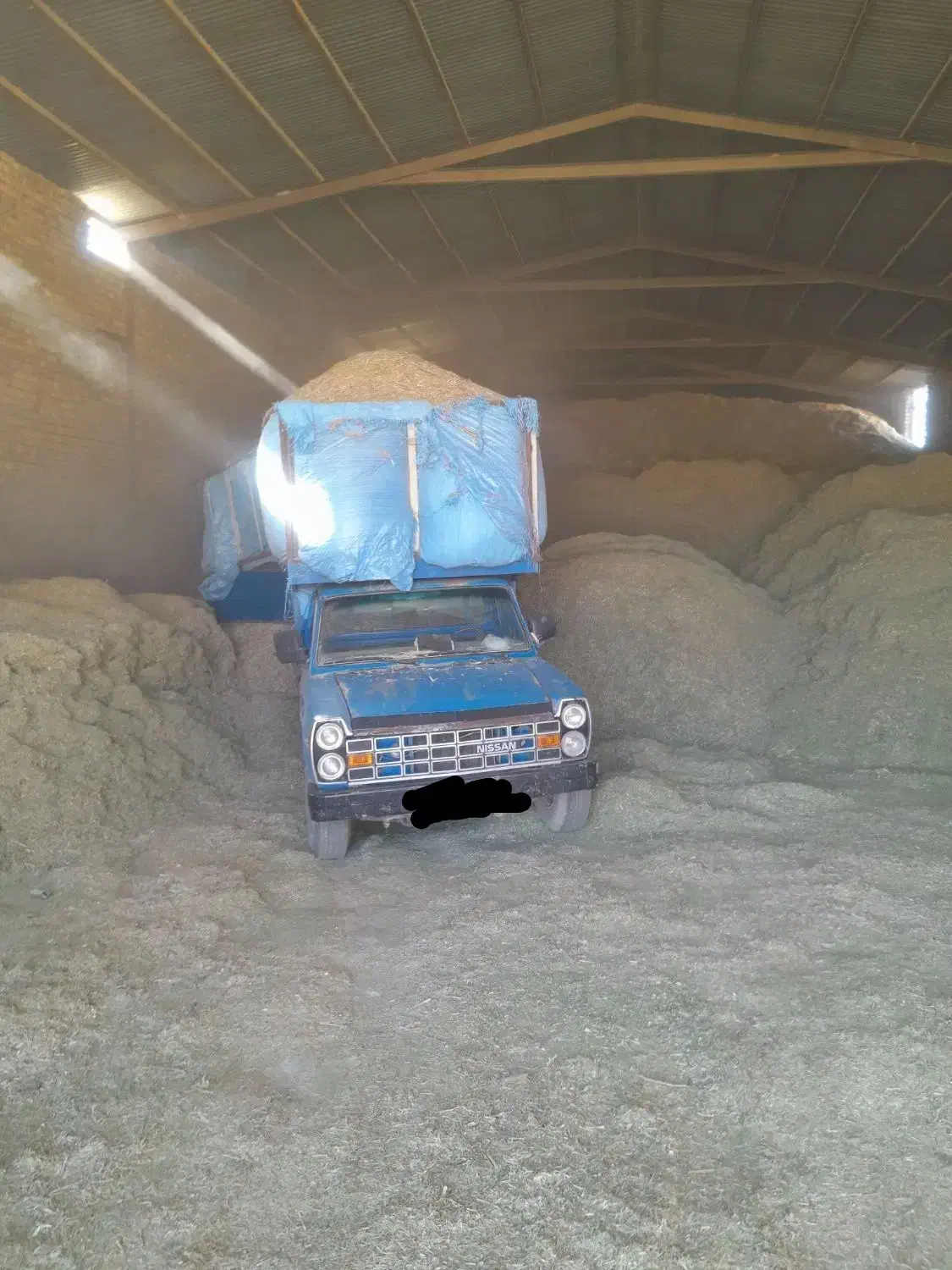 خریدارکاه لوبیا قرمز کاه لوبیا سفید|خدمات باغبانی و درختکاری|شازند, |دیوار