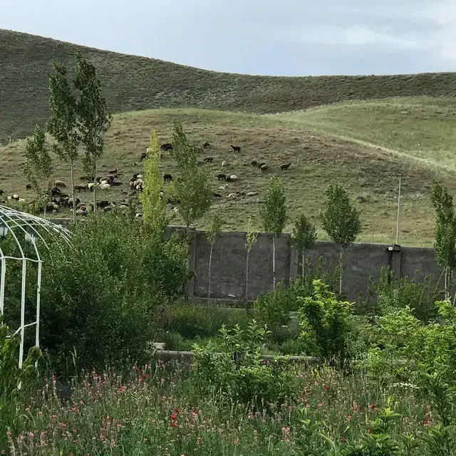 باشگاه سوارکاری و باغ|فروش دفتر صنعتی، کشاورزی، تجاری|خواجه, |دیوار