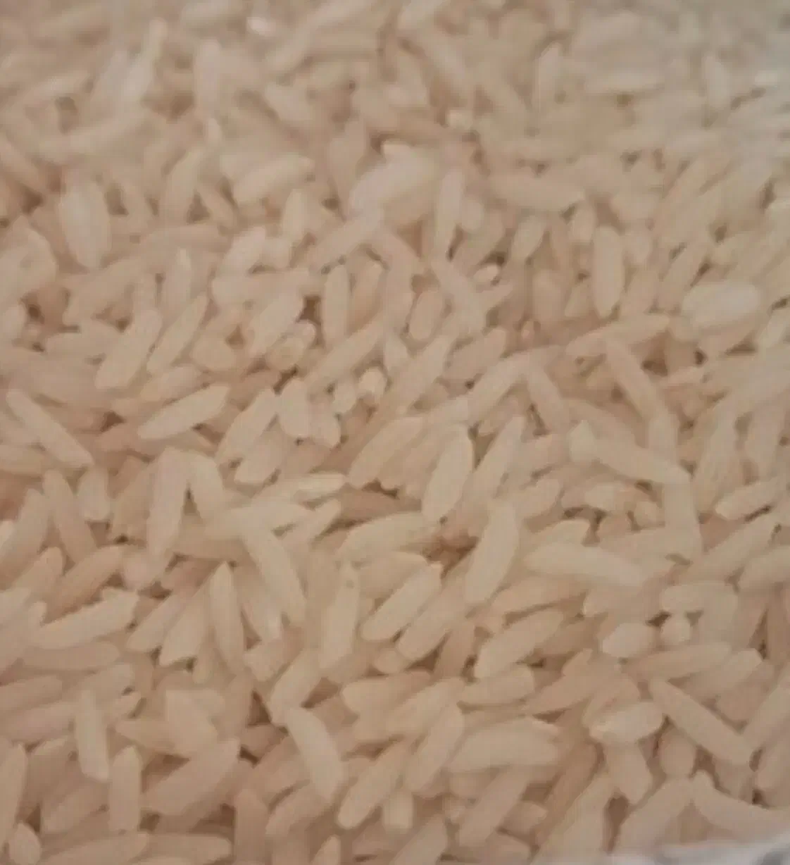 برنج ایرانی هاشمی ممتاز درجه یک (برندطبیعت)|خوردنی و آشامیدنی|تهران, نیکنام|دیوار