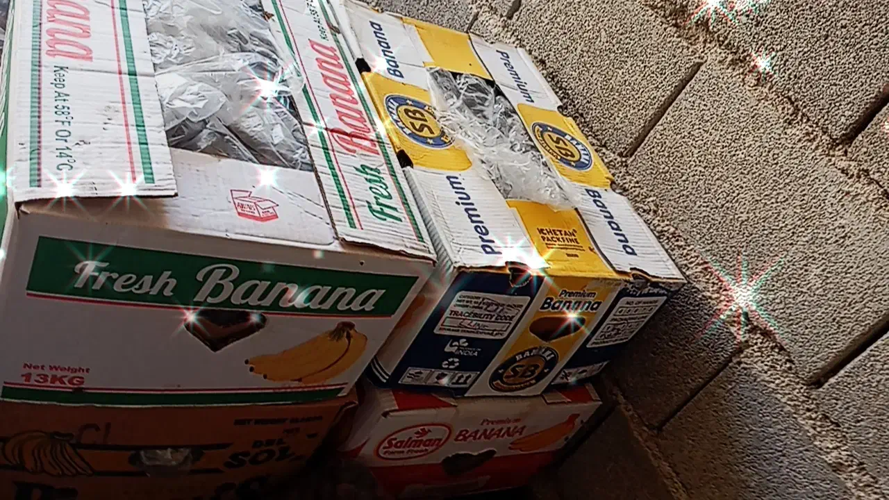 خرما پیارم|حراج|بندرعباس, |دیوار