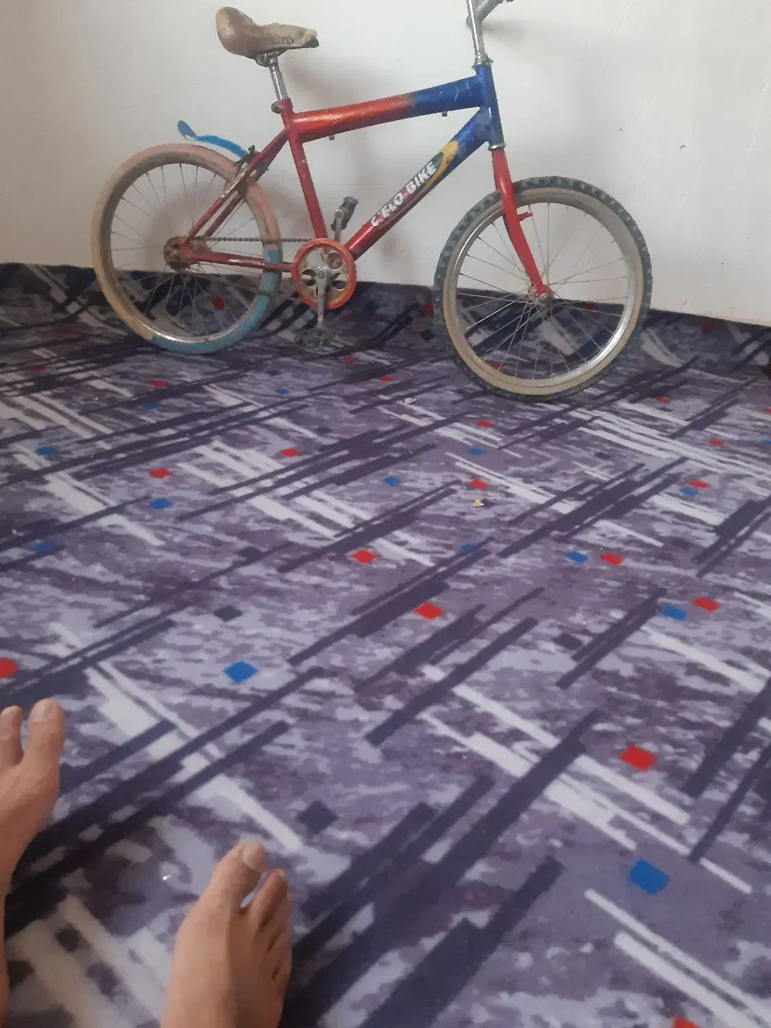 دوچرخه ۲۰|دوچرخه، اسکیت، اسکوتر|داراب, |دیوار