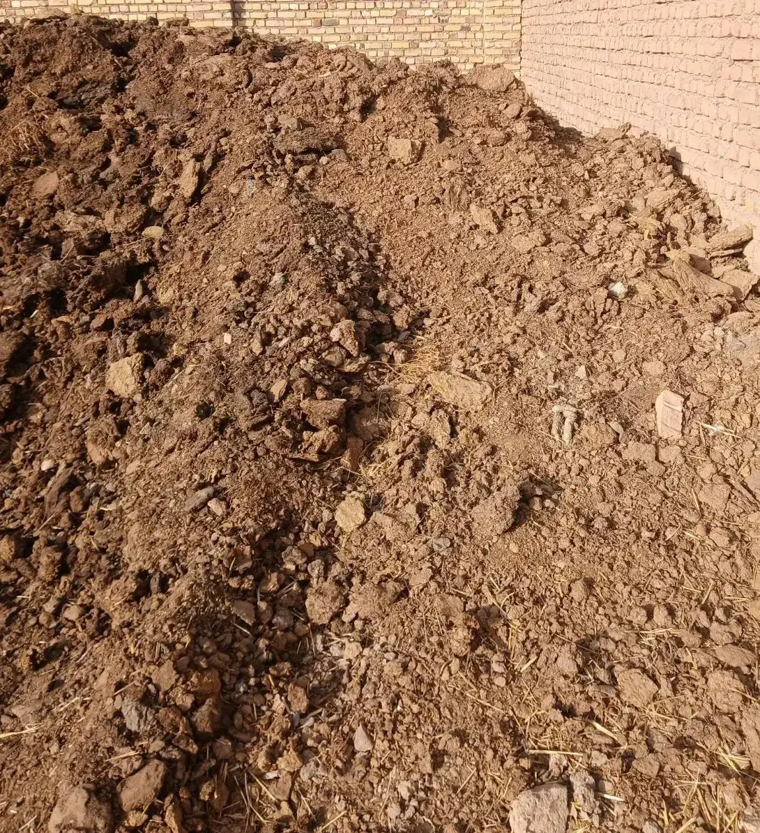 کودگاوی|خدمات باغبانی و درختکاری|طاغنکوه, |دیوار