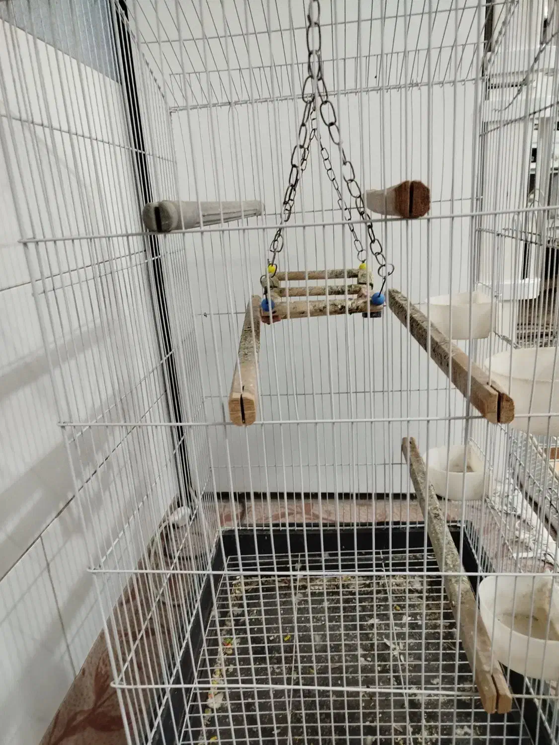 فروش قفس|لوازم جانبی حیوانات|قم, شهر قائم|دیوار