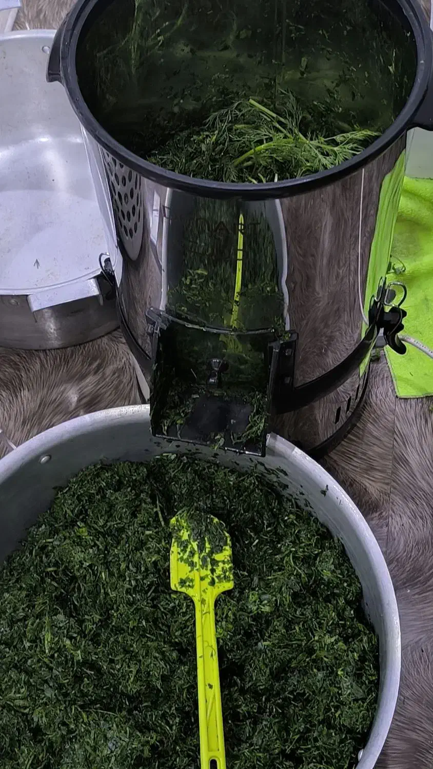 سبزی خوردن|خردکن، آسیاب، غذاساز|اهواز, کوی باهنر|دیوار