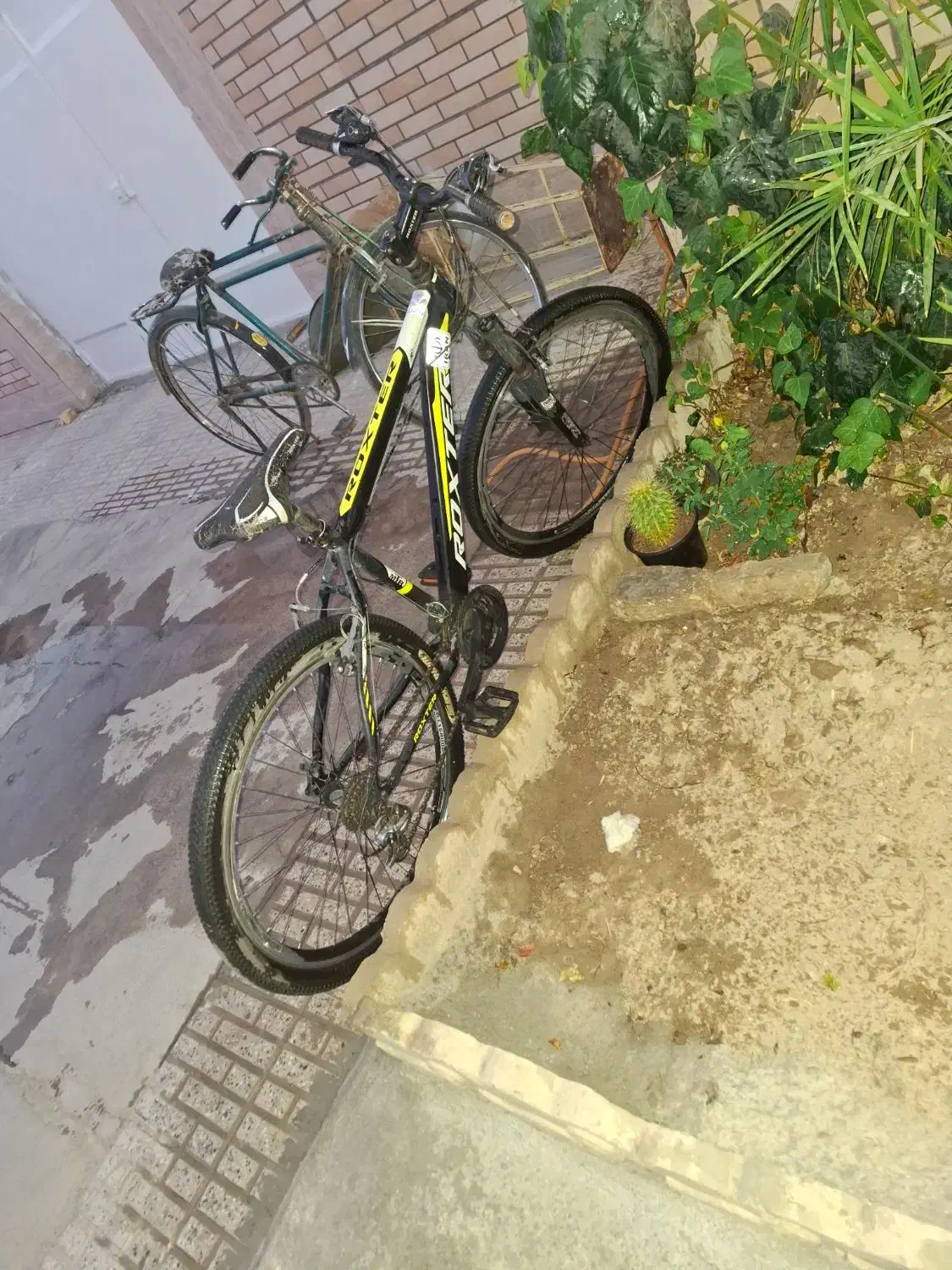 دوچرخه|دوچرخه، اسکیت، اسکوتر|فلاورجان, |دیوار