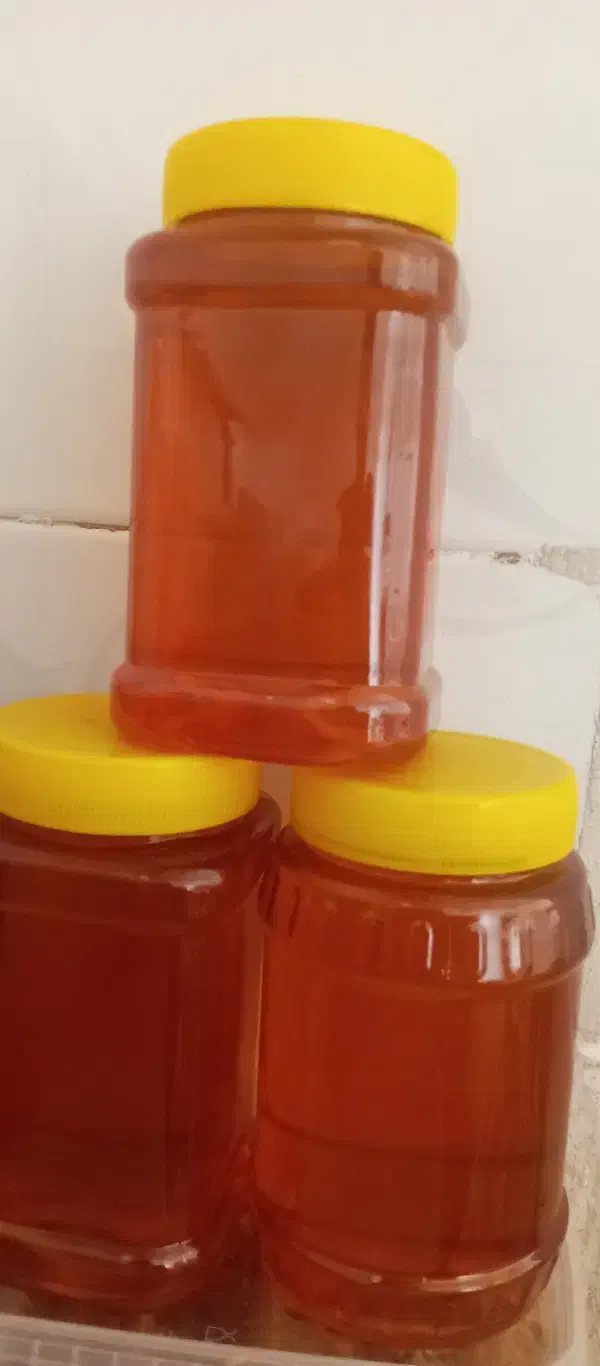 عسل و خشکباری|خوردنی و آشامیدنی|شیراز, دوکوهک|دیوار