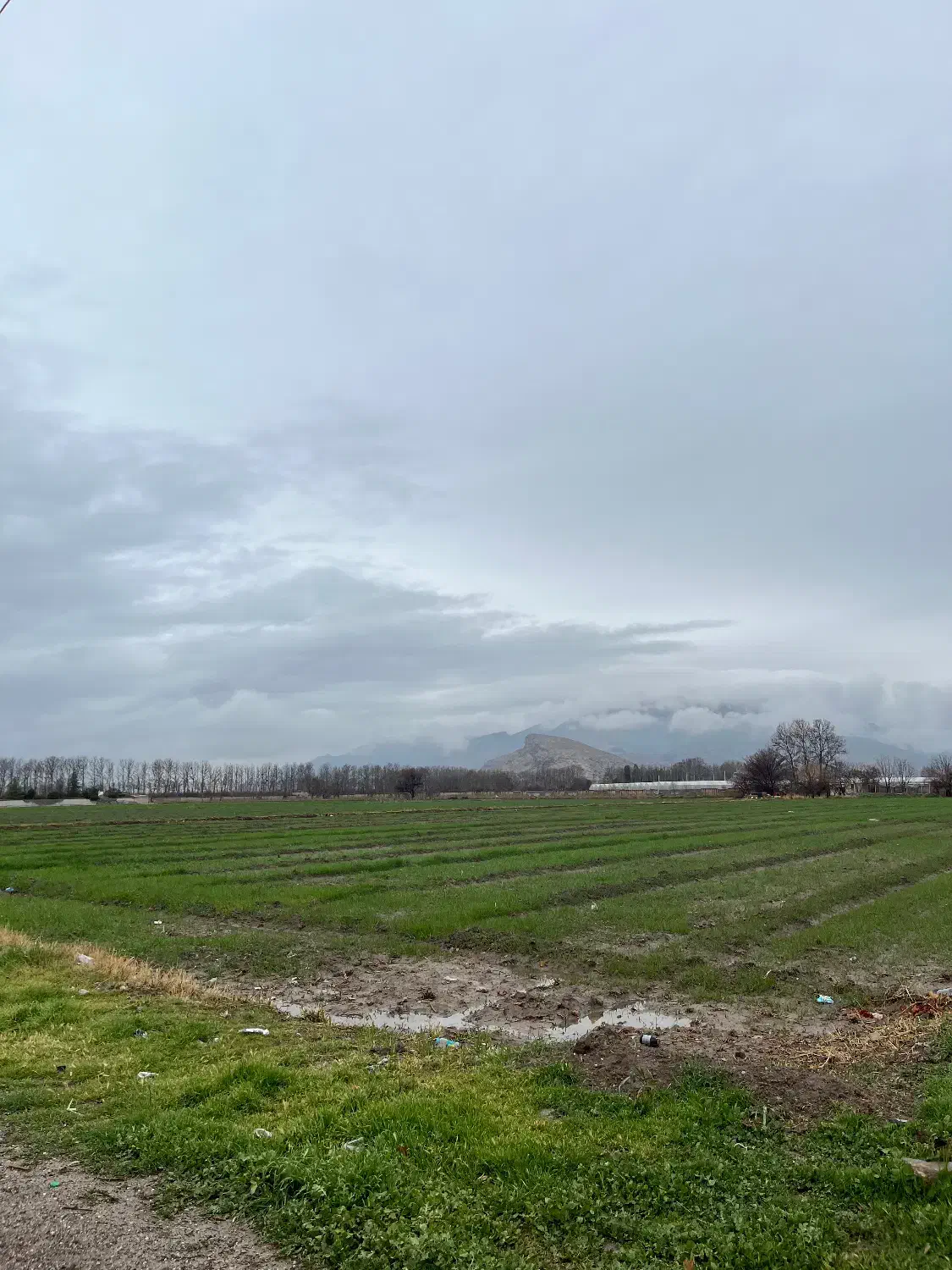 5هکتارزمین کشاورزی|فروش زمین و ملک کلنگی|مرودشت, رامجرد یک|دیوار