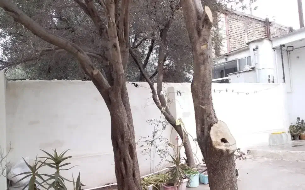 فروش خانه ویلایی|فروش خانه و ویلا|منجیل, |دیوار