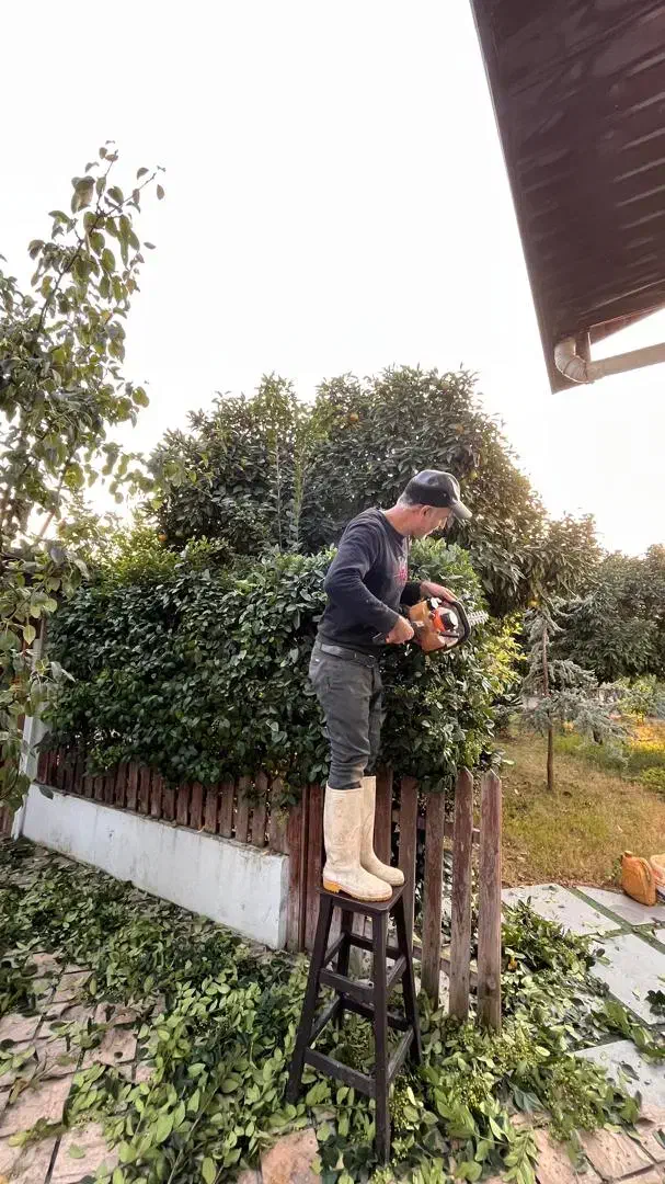 فضای سبز|خدمات باغبانی و درختکاری|بابل, |دیوار