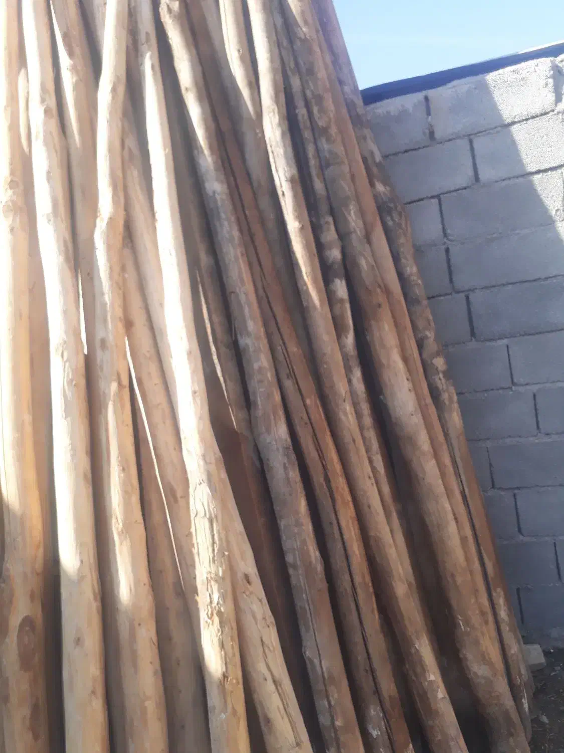 چوب چنار بفروش میرسد|مصالح و تجهیزات ساختمان|سرپل ذهاب, |دیوار