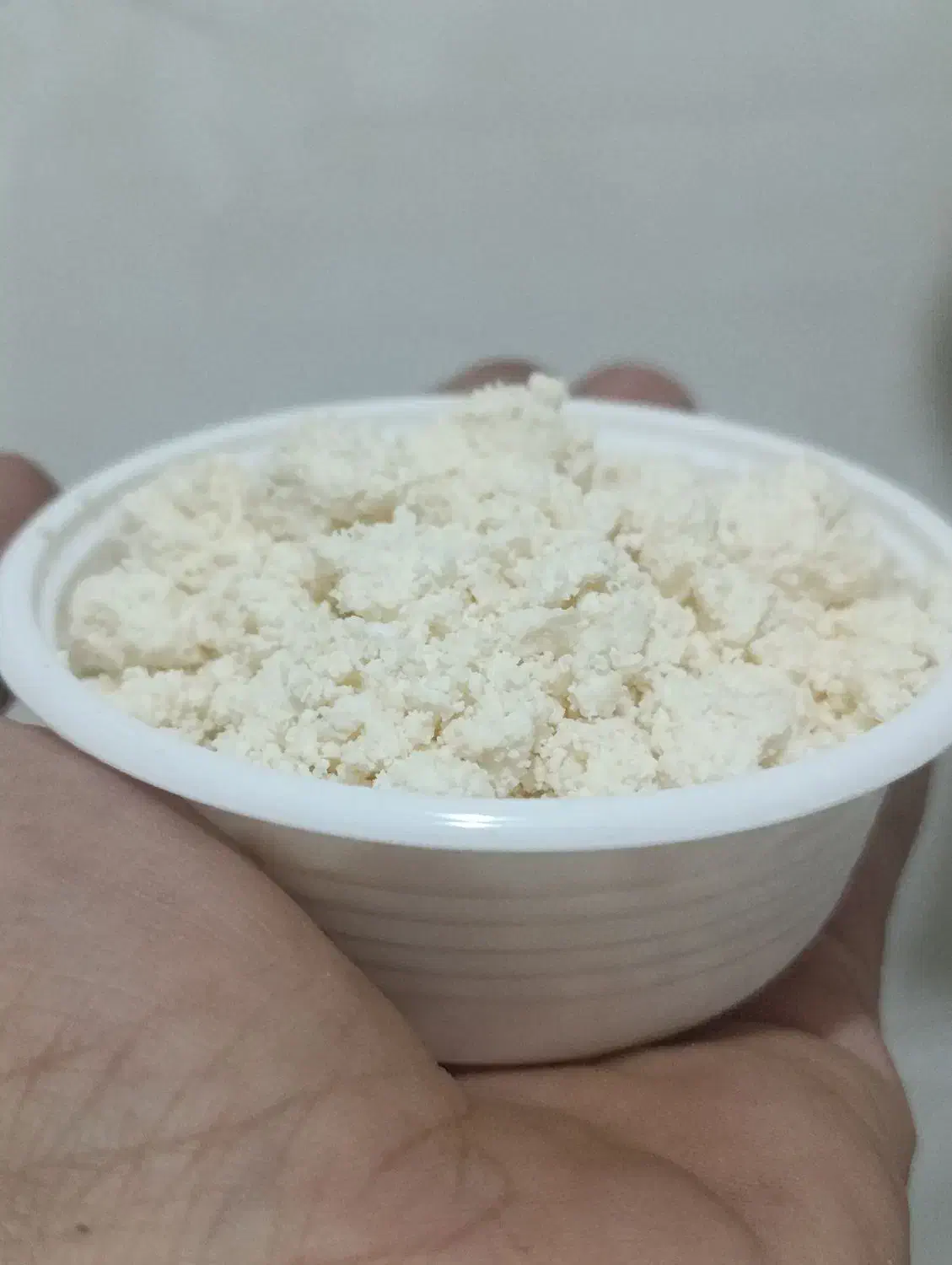 ماست خشک گوسفندی.درجه یک|خوردنی و آشامیدنی|مشهد, گلبرگ شمالی|دیوار