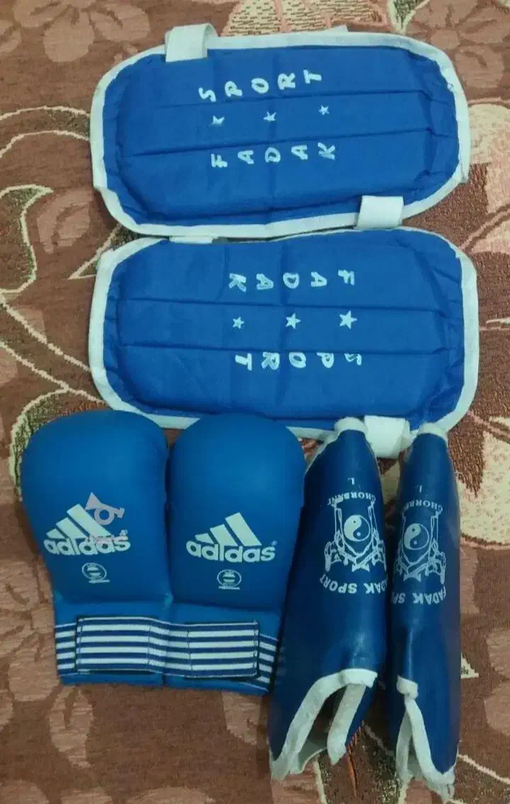 دسکش بوکس|تجهیزات ورزشی|محمدیه-قزوین, |دیوار