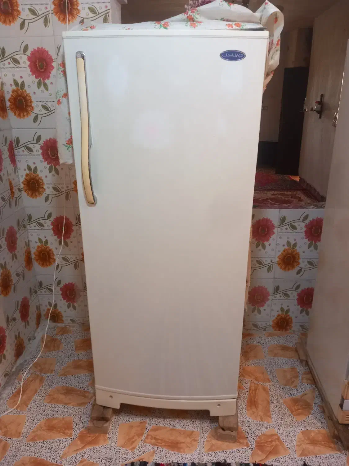 ۲عدد یخچال معولی دونه ۵میلیون ویک عدد ابگرمن برقی|یخچال و فریزر|اندیکا, |دیوار