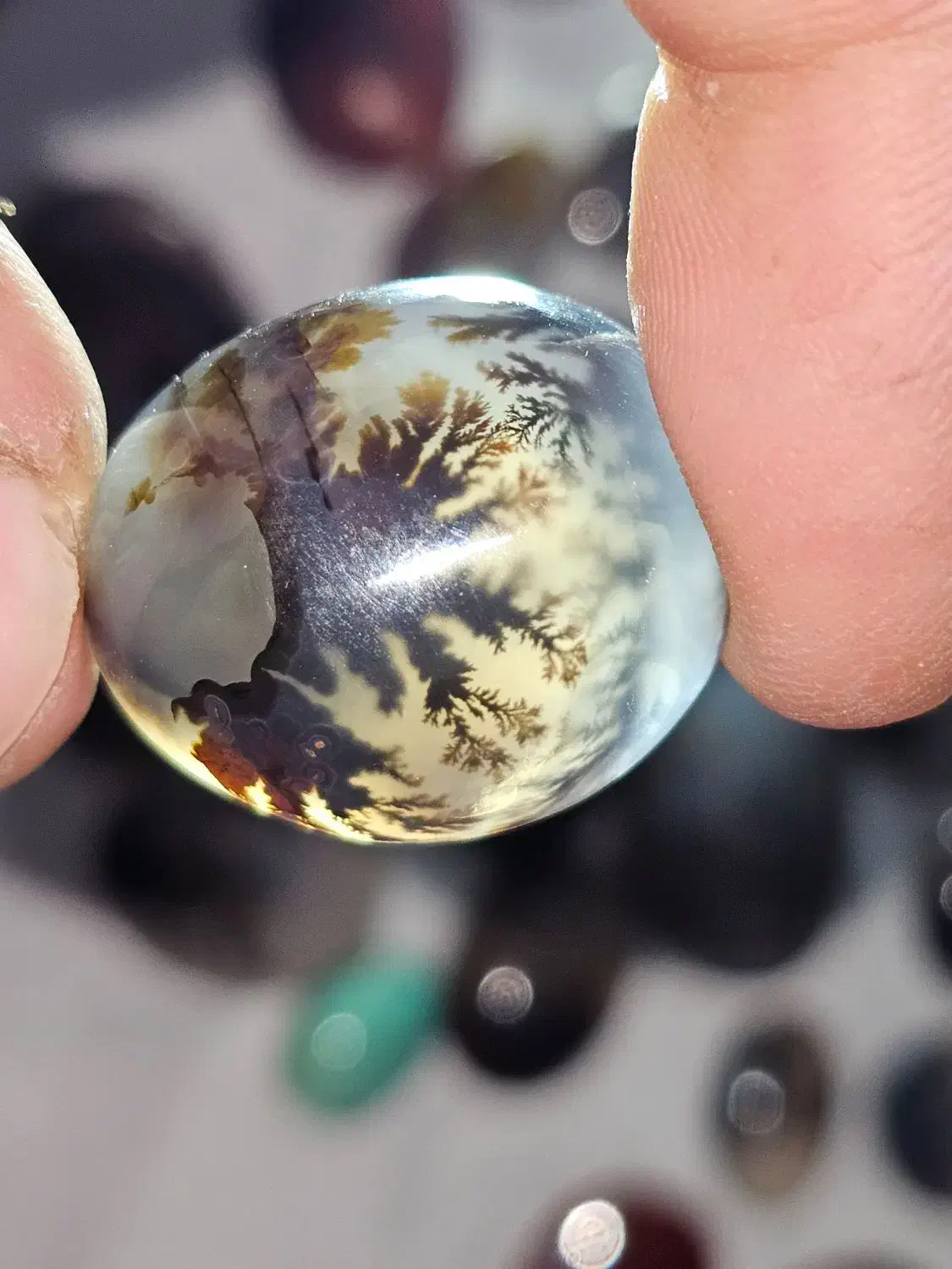 مقداری راف و نگین شجر|جواهرات|کرمان, |دیوار