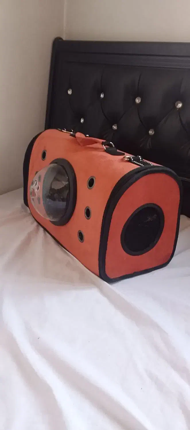 کیف سگ|لوازم جانبی حیوانات|باسمنج, |دیوار